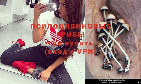 молекула духа Аркадак