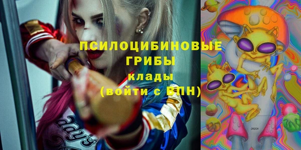 молекула духа Аркадак