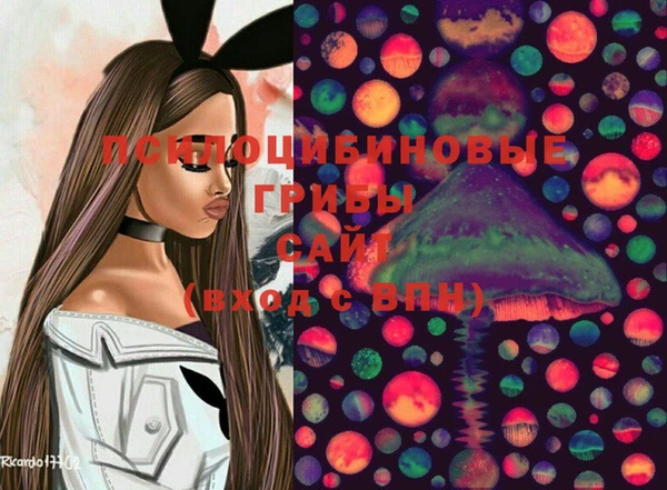 молекула духа Аркадак