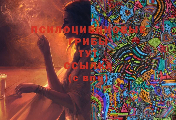 стафф Армянск